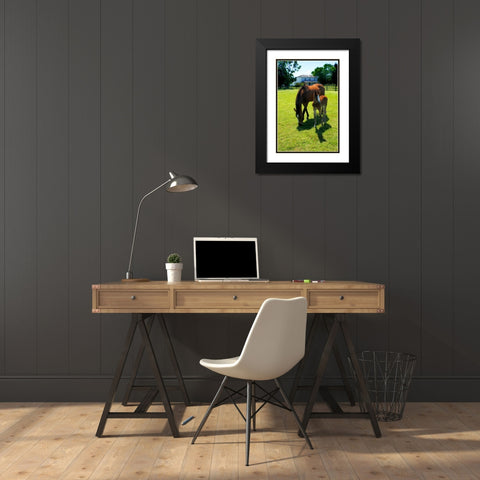 Mare and Foal II Black Modern Wood Framed Art Print with Double Matting by Hausenflock, Alan