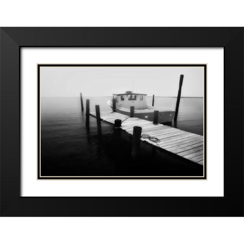 Waiting on the Fog I Black Modern Wood Framed Art Print with Double Matting by Hausenflock, Alan