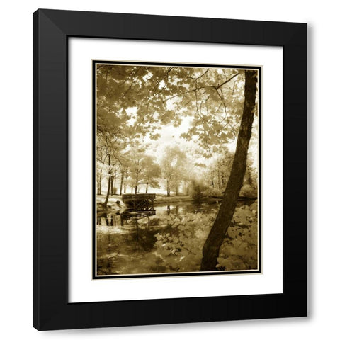 Mint Springs Lake II Black Modern Wood Framed Art Print with Double Matting by Hausenflock, Alan