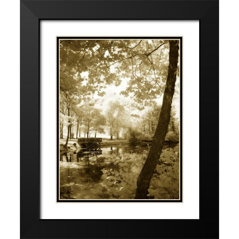 Mint Springs Lake II Black Modern Wood Framed Art Print with Double Matting by Hausenflock, Alan