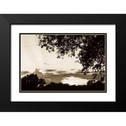 Sunset through Trees I Black Modern Wood Framed Art Print with Double Matting by Hausenflock, Alan