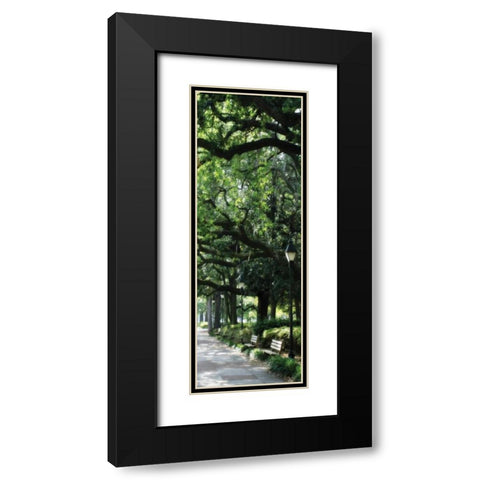 Savannah Sidewalk Panel I Black Modern Wood Framed Art Print with Double Matting by Hausenflock, Alan