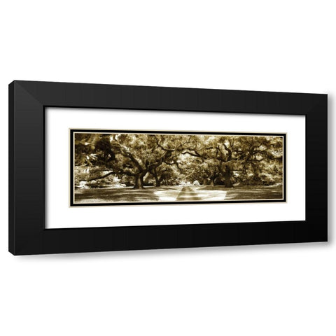 Druid Oaks Panel II Black Modern Wood Framed Art Print with Double Matting by Hausenflock, Alan