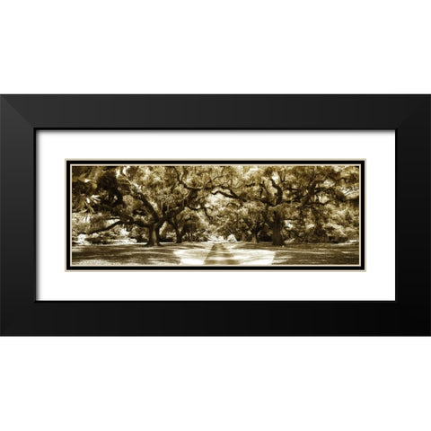 Druid Oaks Panel II Black Modern Wood Framed Art Print with Double Matting by Hausenflock, Alan