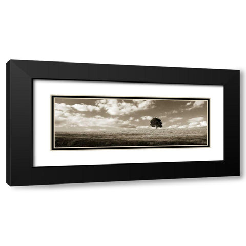 Cloudy Skies Panel I Black Modern Wood Framed Art Print with Double Matting by Hausenflock, Alan