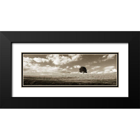 Cloudy Skies Panel I Black Modern Wood Framed Art Print with Double Matting by Hausenflock, Alan