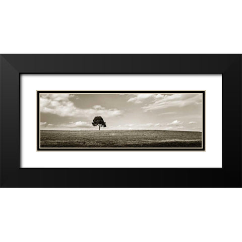 Cloudy Skies Panel III Black Modern Wood Framed Art Print with Double Matting by Hausenflock, Alan