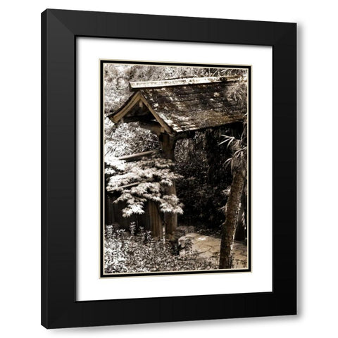 Bamboo Garden II Black Modern Wood Framed Art Print with Double Matting by Hausenflock, Alan