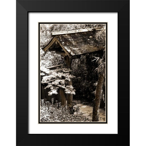 Bamboo Garden II Black Modern Wood Framed Art Print with Double Matting by Hausenflock, Alan
