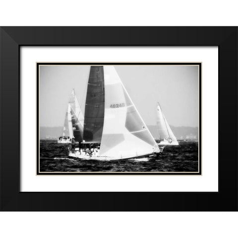 Race on the Chesapeake IV Black Modern Wood Framed Art Print with Double Matting by Hausenflock, Alan