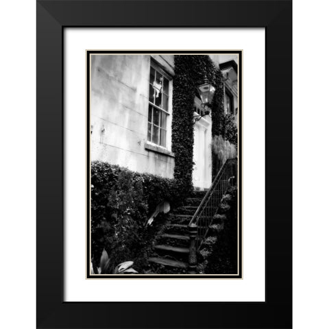 Savannah Style II Black Modern Wood Framed Art Print with Double Matting by Hausenflock, Alan