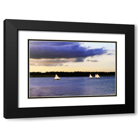 Sunfish Sailors I Black Modern Wood Framed Art Print with Double Matting by Hausenflock, Alan