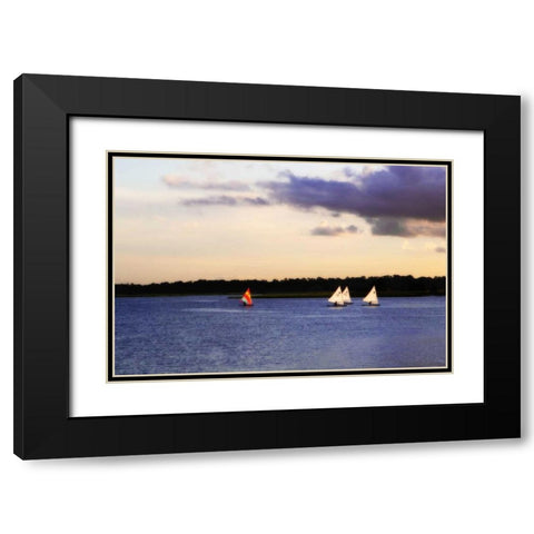 Sunfish Sailors II Black Modern Wood Framed Art Print with Double Matting by Hausenflock, Alan