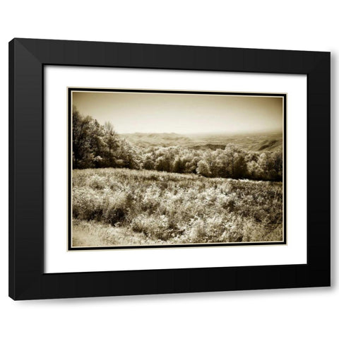 Piney Mountain I Black Modern Wood Framed Art Print with Double Matting by Hausenflock, Alan