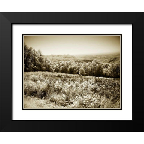 Piney Mountain I Black Modern Wood Framed Art Print with Double Matting by Hausenflock, Alan