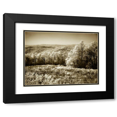 Piney Mountain II Black Modern Wood Framed Art Print with Double Matting by Hausenflock, Alan