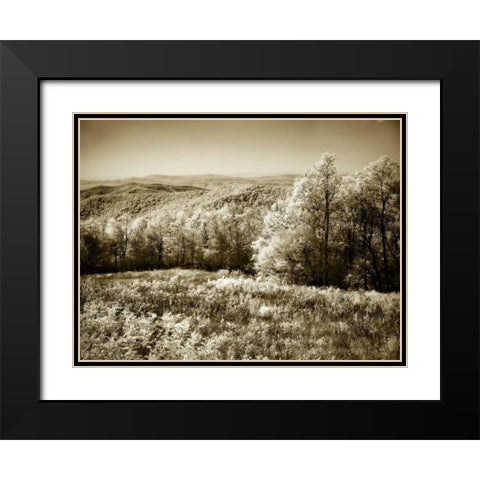 Piney Mountain II Black Modern Wood Framed Art Print with Double Matting by Hausenflock, Alan