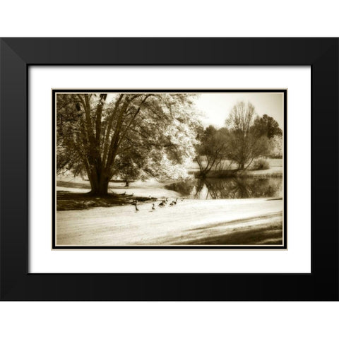 Geese at the Pond II Black Modern Wood Framed Art Print with Double Matting by Hausenflock, Alan