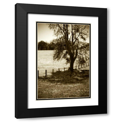 Rolling Pastures I Black Modern Wood Framed Art Print with Double Matting by Hausenflock, Alan