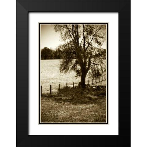 Rolling Pastures I Black Modern Wood Framed Art Print with Double Matting by Hausenflock, Alan