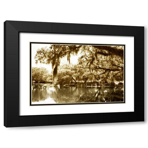 Mossy Lake II Black Modern Wood Framed Art Print with Double Matting by Hausenflock, Alan