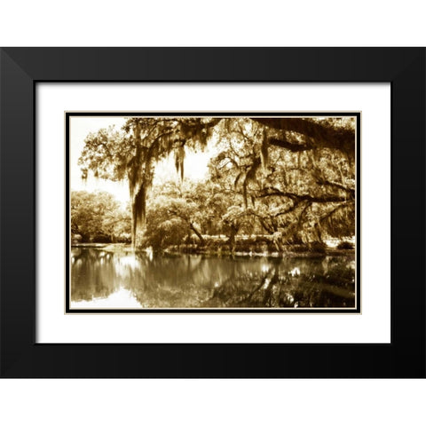 Mossy Lake II Black Modern Wood Framed Art Print with Double Matting by Hausenflock, Alan