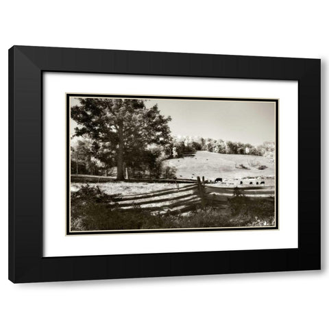 Autumn Pastures I Black Modern Wood Framed Art Print with Double Matting by Hausenflock, Alan