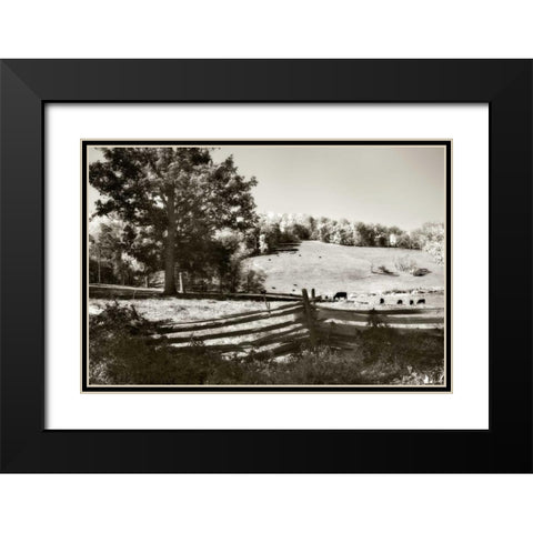Autumn Pastures I Black Modern Wood Framed Art Print with Double Matting by Hausenflock, Alan