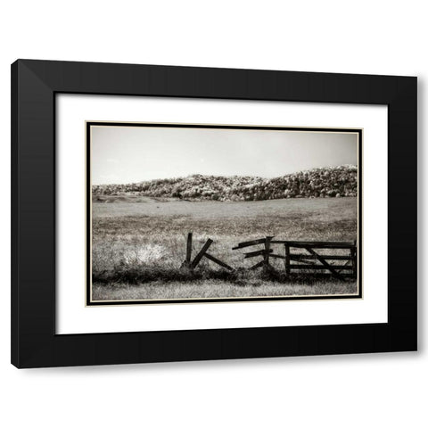 Autumn Pastures III Black Modern Wood Framed Art Print with Double Matting by Hausenflock, Alan