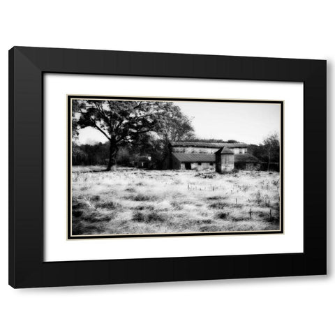 Fallow Fields I Black Modern Wood Framed Art Print with Double Matting by Hausenflock, Alan