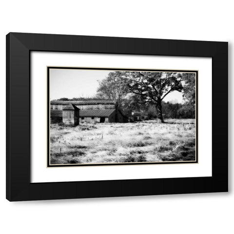 Fallow Fields II Black Modern Wood Framed Art Print with Double Matting by Hausenflock, Alan