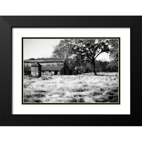 Fallow Fields II Black Modern Wood Framed Art Print with Double Matting by Hausenflock, Alan