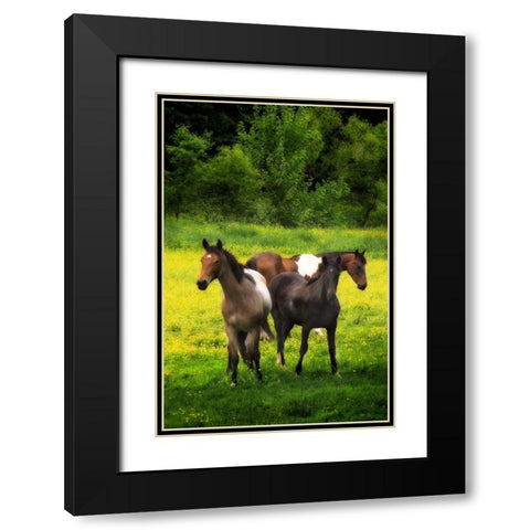 The Horses Three I Black Modern Wood Framed Art Print with Double Matting by Hausenflock, Alan