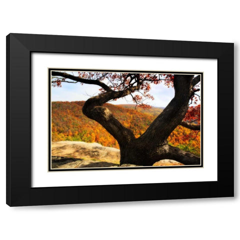 Wildcat Ridge II Black Modern Wood Framed Art Print with Double Matting by Hausenflock, Alan