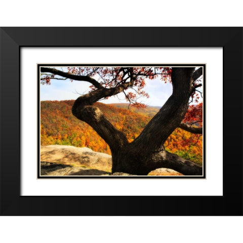 Wildcat Ridge II Black Modern Wood Framed Art Print with Double Matting by Hausenflock, Alan