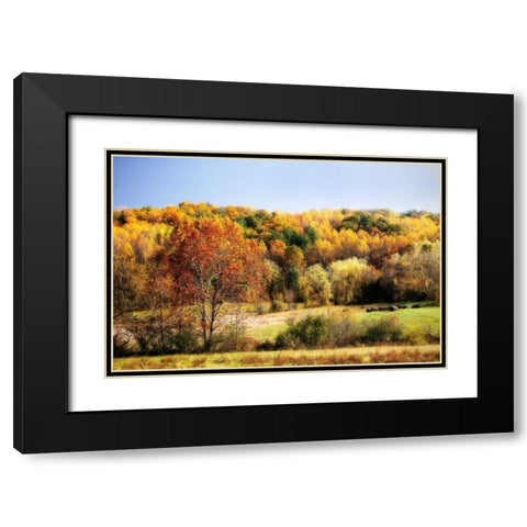 Sperryville Fields I Black Modern Wood Framed Art Print with Double Matting by Hausenflock, Alan