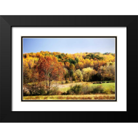 Sperryville Fields I Black Modern Wood Framed Art Print with Double Matting by Hausenflock, Alan