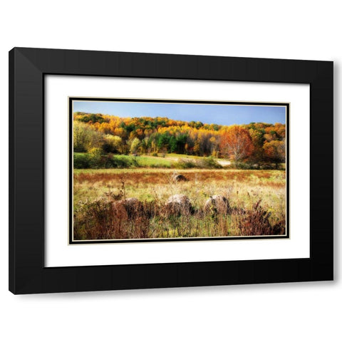 Sperryville Fields II Black Modern Wood Framed Art Print with Double Matting by Hausenflock, Alan