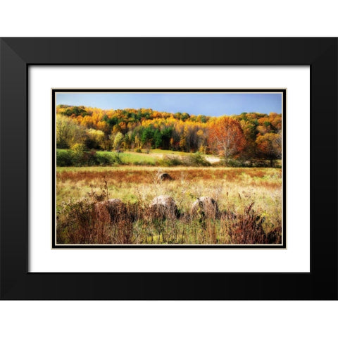 Sperryville Fields II Black Modern Wood Framed Art Print with Double Matting by Hausenflock, Alan