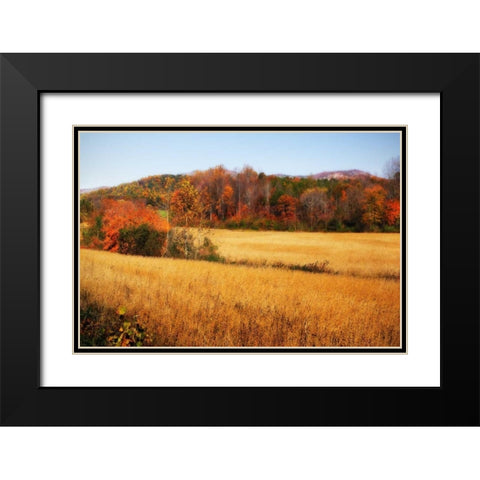 Sperryville Fields IV Black Modern Wood Framed Art Print with Double Matting by Hausenflock, Alan