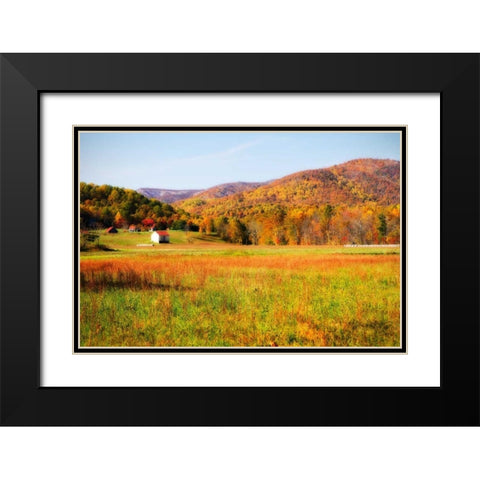 Autumn Fields I Black Modern Wood Framed Art Print with Double Matting by Hausenflock, Alan