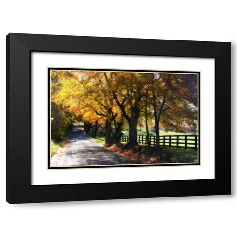 Country Road I Black Modern Wood Framed Art Print with Double Matting by Hausenflock, Alan