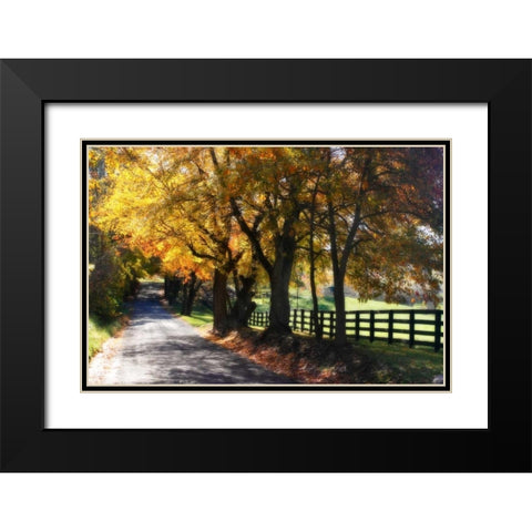 Country Road I Black Modern Wood Framed Art Print with Double Matting by Hausenflock, Alan