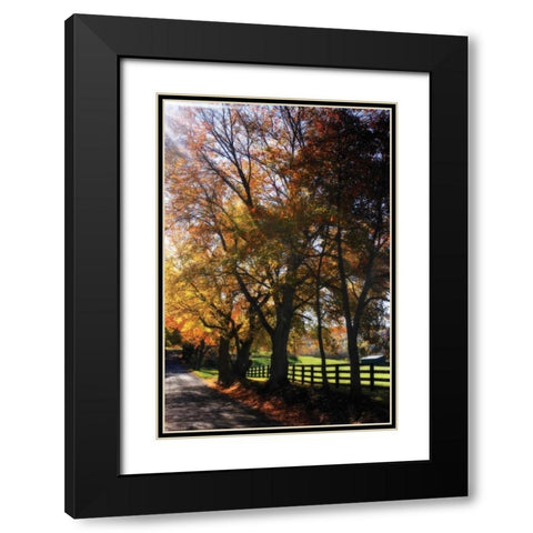 Country Road IV Black Modern Wood Framed Art Print with Double Matting by Hausenflock, Alan