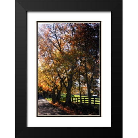 Country Road IV Black Modern Wood Framed Art Print with Double Matting by Hausenflock, Alan