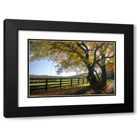 Hillside Farm I Black Modern Wood Framed Art Print with Double Matting by Hausenflock, Alan