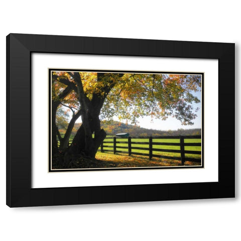 Hillside Farm II Black Modern Wood Framed Art Print with Double Matting by Hausenflock, Alan