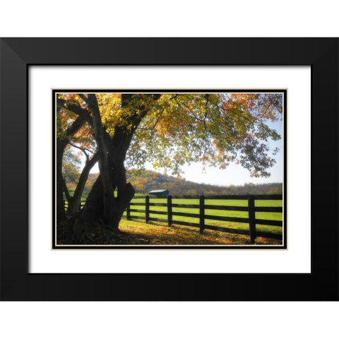 Hillside Farm II Black Modern Wood Framed Art Print with Double Matting by Hausenflock, Alan