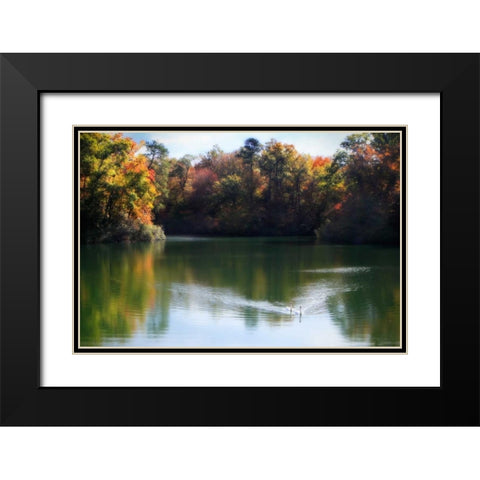 Swans on the Lake II Black Modern Wood Framed Art Print with Double Matting by Hausenflock, Alan