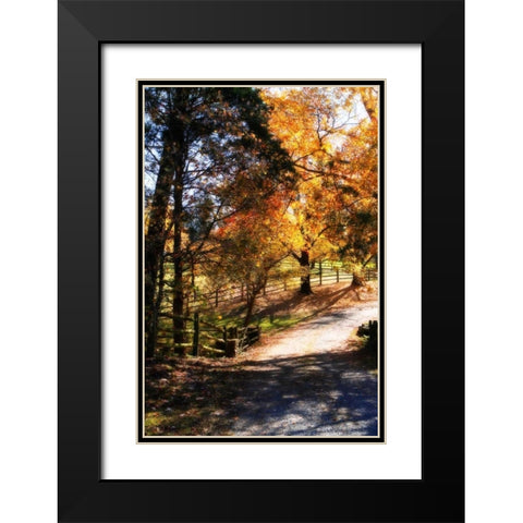Autumn on Kent Farm III Black Modern Wood Framed Art Print with Double Matting by Hausenflock, Alan